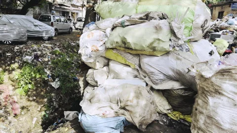 Waste Collector Gathering Garbage Promoting Clean Environment Video stock 331981406
