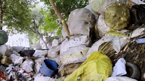 Waste Collector Gathering Garbage Promoting Clean Environment 库存影片 339778900