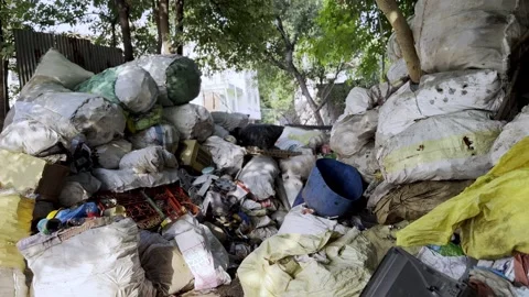 Waste Collector Gathering Garbage Promoting Clean Environment Stockbeeldmateriaal 339778941