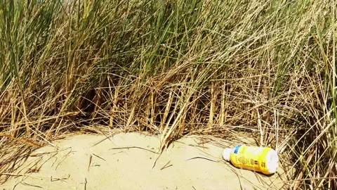 Waste drinking cup in dunes. Stock Footage 250801027