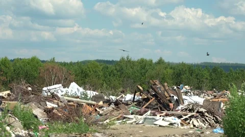 Waste dump in the forest. Stack of different types of large garbage dump, in Stock Footage 240071458