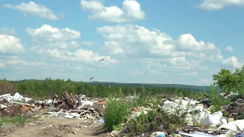 Waste dump in the forest. Stack of different types of large garbage dump, in 動画素材 243507569