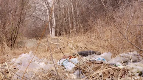 A waste dump in a natural setting demonstrates its impact on the environment Stock Footage 278138254