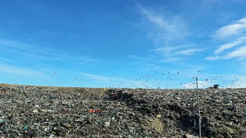 Waste facility shows large piles of garbage under a clear sky with birds flying Stock Footage 331080001