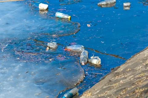Waste floating on water surface Stock Photos