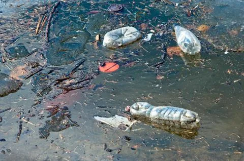 Waste floating on water surface Stock Photos