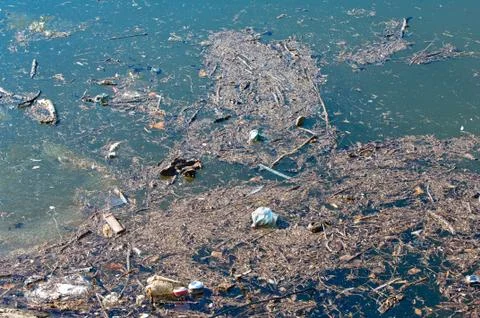 Waste floating on water surface Stock Photos