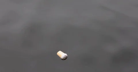 Waste Floats On The Surface Of The Water Stock-Footage 111418530