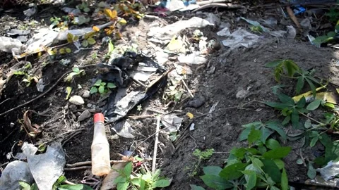 WASTE Stock Footage 294159630