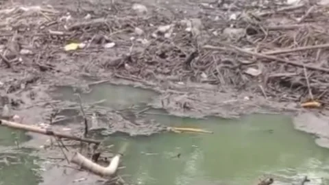 Waste Stock Footage 307374898