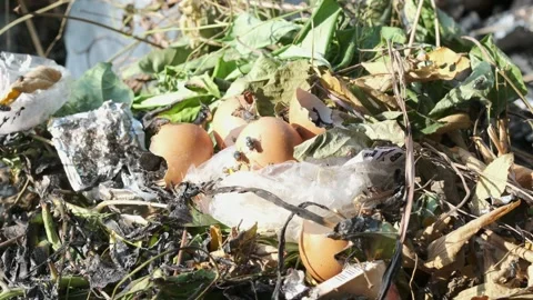 Waste Garbage Littering Stock Footage 260333020