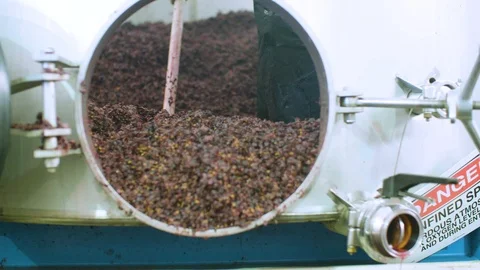 Waste of grapes being collected after extraction of juice Stock Footage 87808399