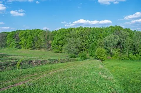 Waste-ground Stock Photos