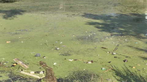 Waste in the lake Stock Footage 41454276