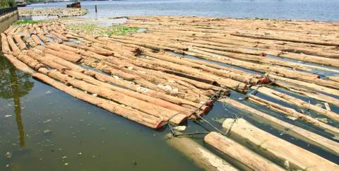 Waste &amp; log on river Stock Photos