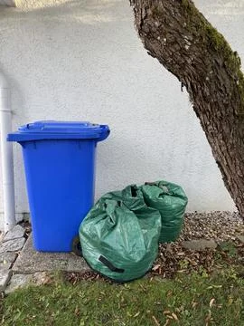 Waste Management Practices Utilizing the Blue Bin and Green Bags by Tree for Stock Photos