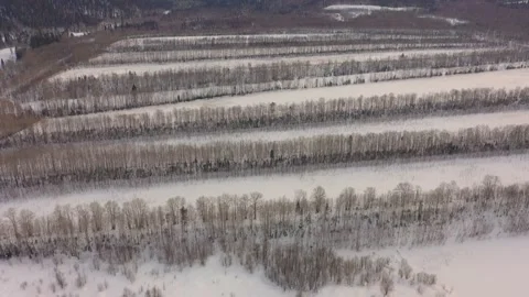 Waste maps of sludge accumulators of the Baikal pulp and paper mill in the city Video stock 296087219