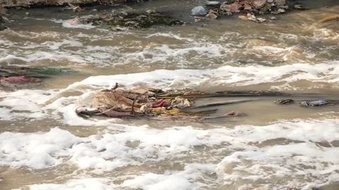 Waste in the middle of river, Polluted water flowing in river Video stock 148197977