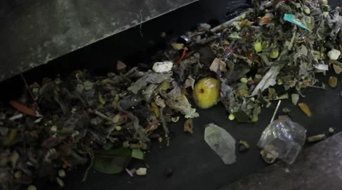 Waste moving on the conveyor belt at processing plant Stock Footage 58675036