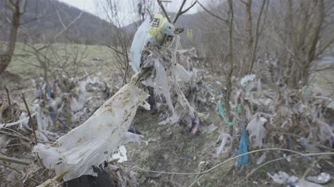 Waste nylons hang on tree branches Stock-Footage 152907080