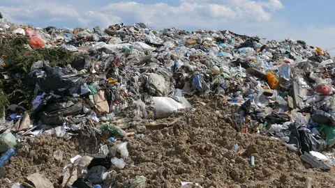 Waste into an old landfill. Stock Footage 100031768