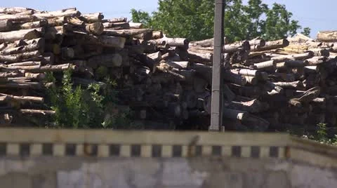 Waste paper Stock Footage 11685152