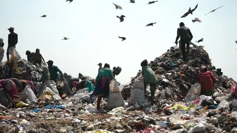Waste Pickers And Birds On Garbage Mountain At Bhalswa Landfill, Delhi Stock Footage 248056097
