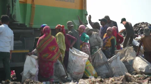 Waste Pickers Carrying Filled Sacks Beside Garbage Truck In Delhi Stock Footage 248056041