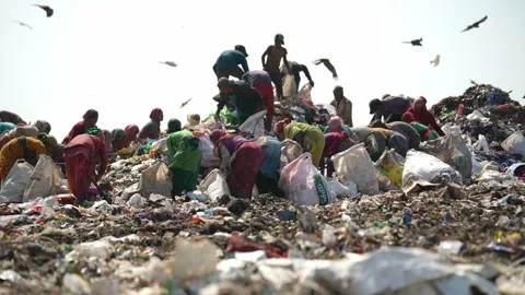 Waste Pickers Climbing Garbage Mountain To Collect Recyclables, Delhi Stock Footage 248056040