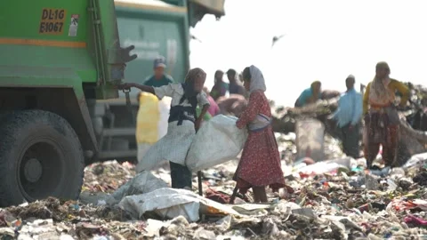 Waste Pickers Gathering Around Garbage Truck At Delhi Landfill, India Stock Footage 248056425