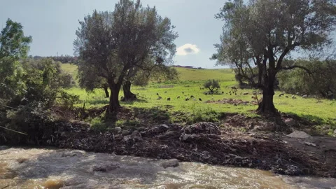 Waste Pipe Discharging Sewage and Dirty Water Into a River Stock Footage 337434995