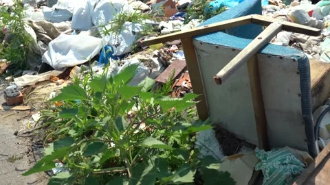 Waste plastic and other types of rubbish in the nature Stock Footage 157869050