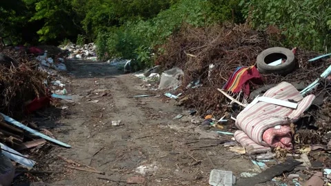 Waste plastic and other types of rubbish in the nature Stock Footage 157869065