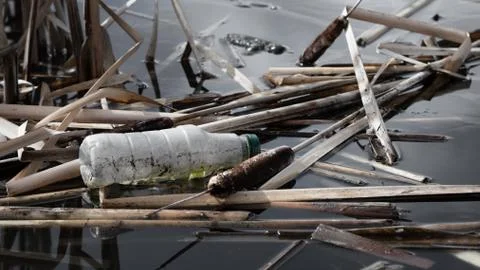 Waste Plastic Bottle Garbage Floating On Water Surface In Wetland Background Foto stock
