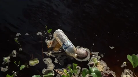 Waste plastic bottles in the river Stock Footage 133753114