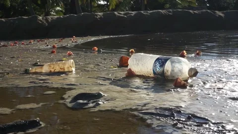 Waste plastic bottles in the river 스톡 동영상 133753222