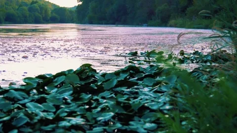 The waste is poured into the river and it foams and bubbles on the water. Stock Footage 279384233