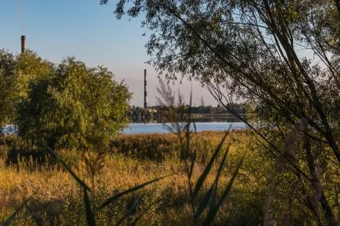 Waste processing plant behind the trees. Urban industry and nature landscape Stock Photos