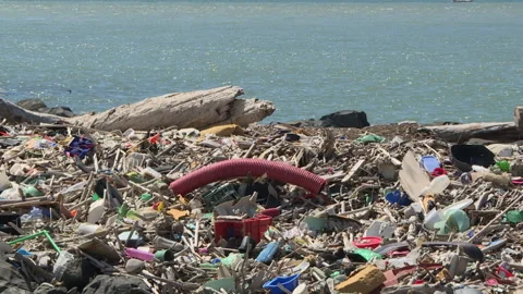 Waste returned from the sea Stock Footage 263193516