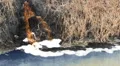  waste in river HD 동영상
