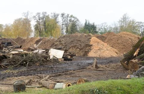 Waste sawmill in the form of a stack of boards and a mountain of sawdust. Stock Photos