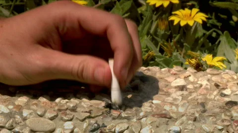 The waste of smoking Stock Footage 712115