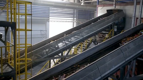 Waste sorting conveyor. Separate garbage collection. Stock Footage 96732892