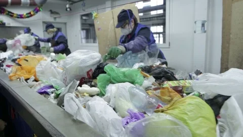 Waste sorting. Conveyor for sorting. Recycling waste Stock Footage 70354583