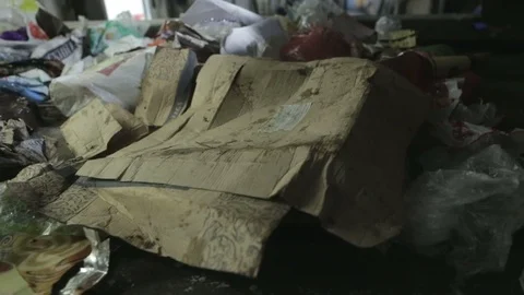 Waste sorting. Conveyor for sorting. Recycling waste Stock Footage 70354764