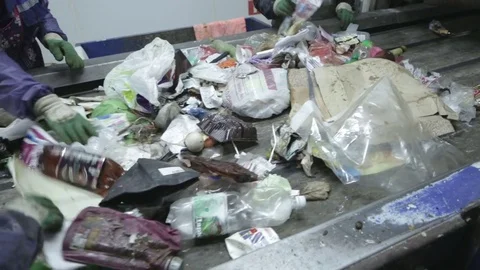Waste sorting. Conveyor for sorting. Recycling waste Stock Footage 70354941