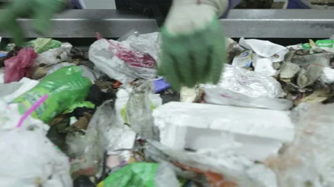 Waste sorting. Conveyor for sorting waste. Recycling garbage. Stock Footage 176784586