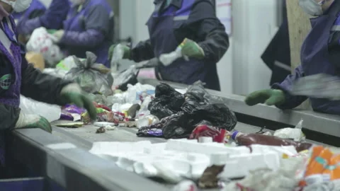 Waste sorting. Conveyor for sorting waste. Recycling garbage. Stock Footage 176785525