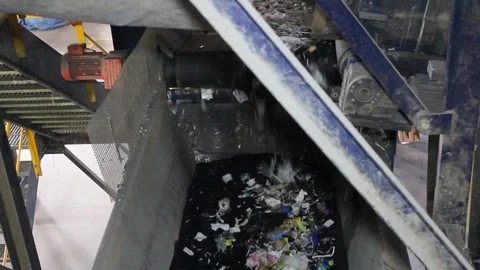 Waste sorting Stock Footage 87736271