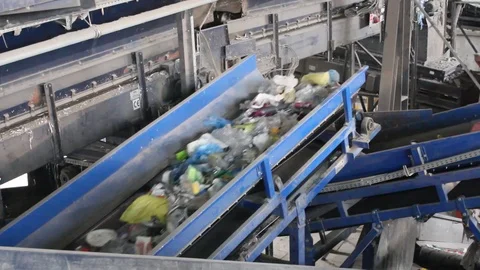 Waste sorting Stock Footage 87736297